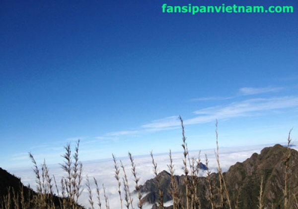 Tour Leo Núi Fansipan 1 Ngày: Thử Thách Phiêu Lưu 6 03b812 fansipan