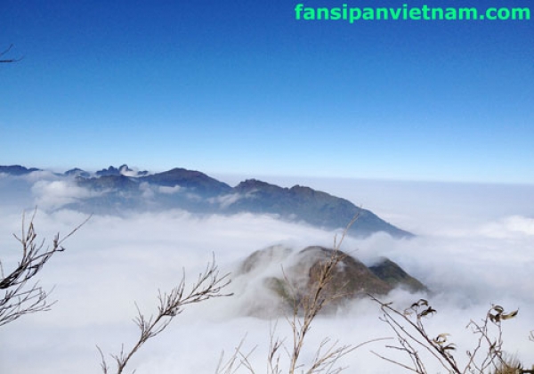 Tour Leo Núi Fansipan 1 Ngày: Thử Thách Phiêu Lưu 4 b81234 fansipan